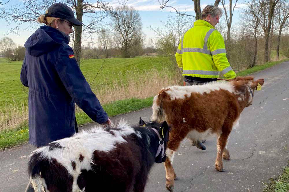 Ist der Hund entspannt, freut sich der Mensch