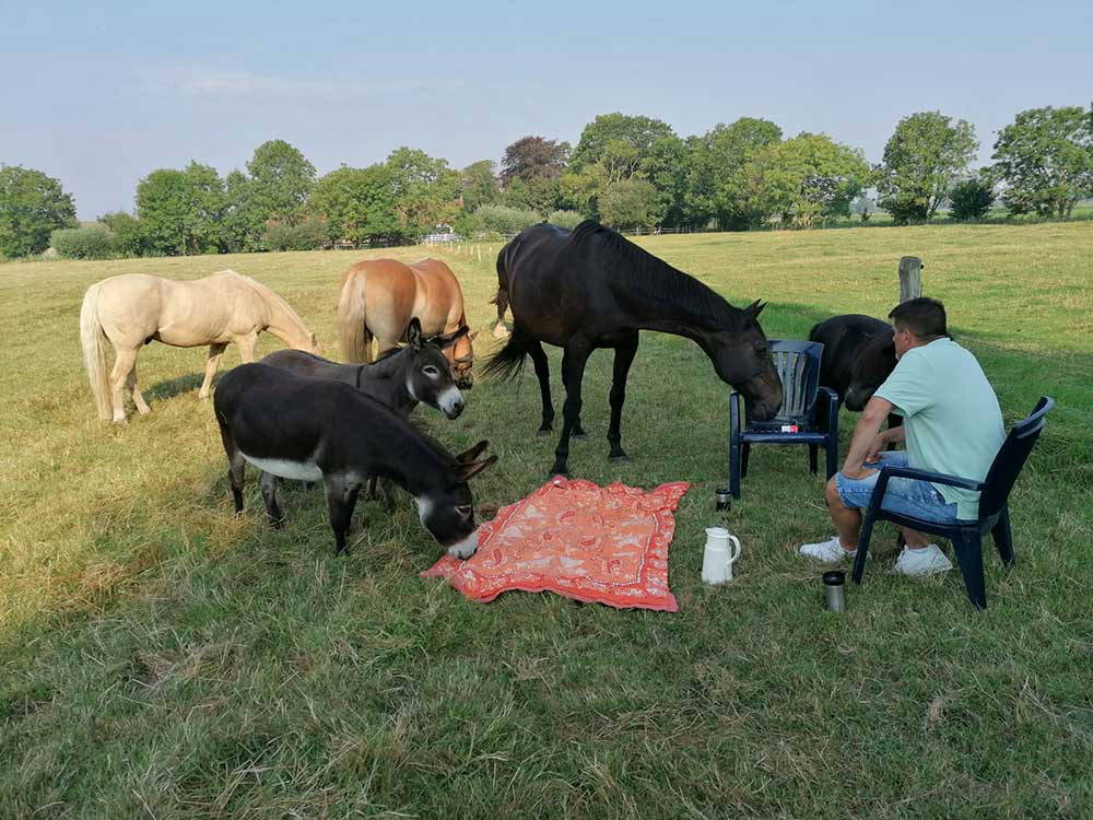 Selbst Fluchttiere sind neugierig und nähern sich gerne dem Menschen
