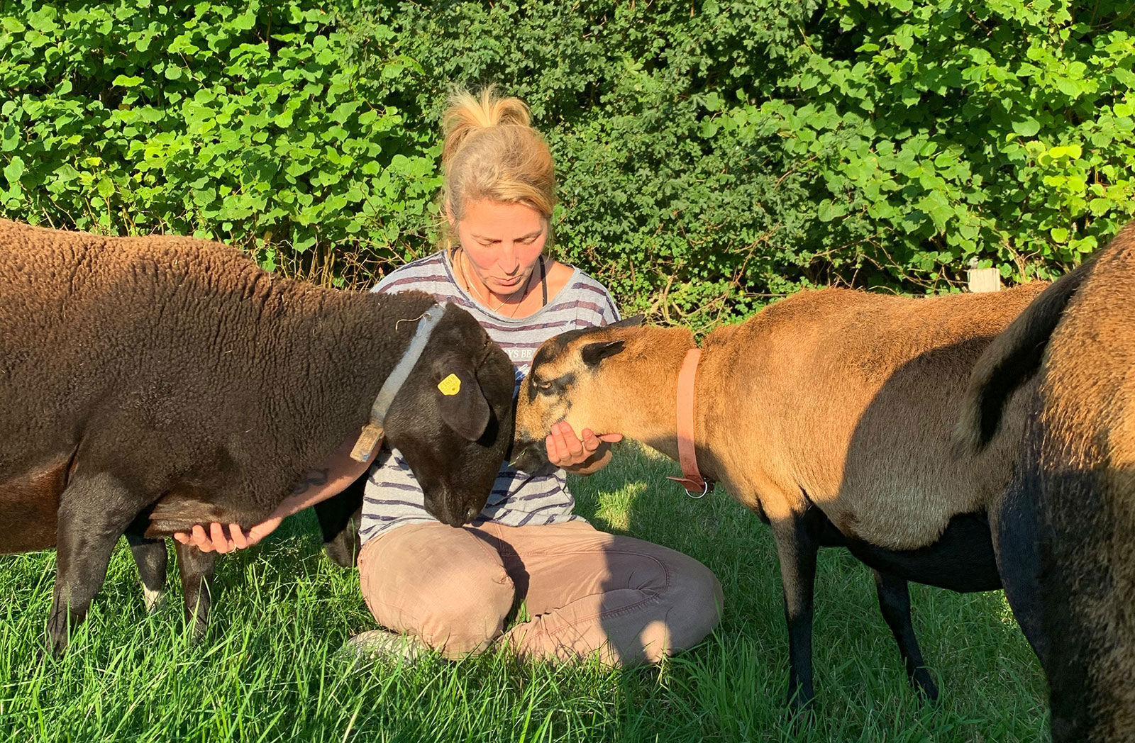 Tiere kommen freiwillig auf Menschen zu