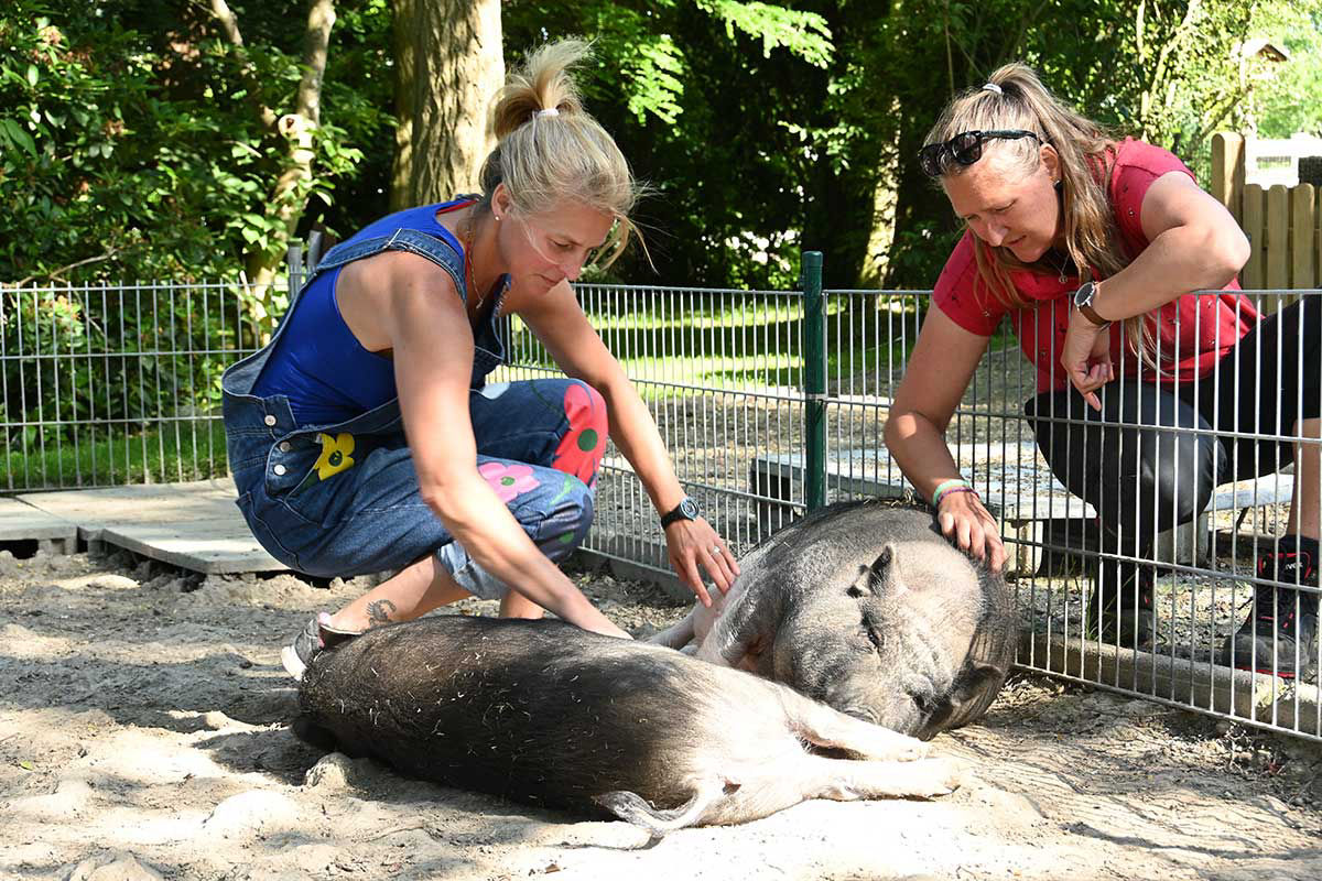 Therapiemöglichkeiten in der Tiergestützten Intervention